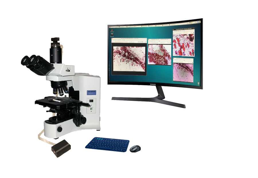 Live Microscope