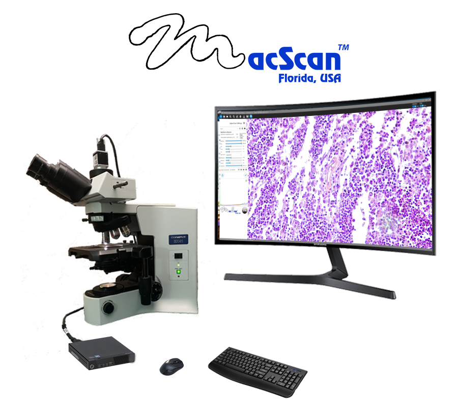 Live Microscope